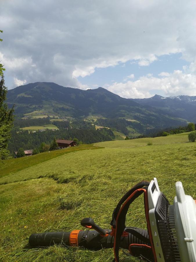 Ferienwohnung Schwemm Moos Westendorf Exterior foto